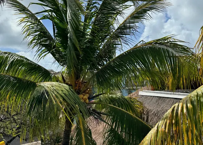Kin Ha Tulum Hotel